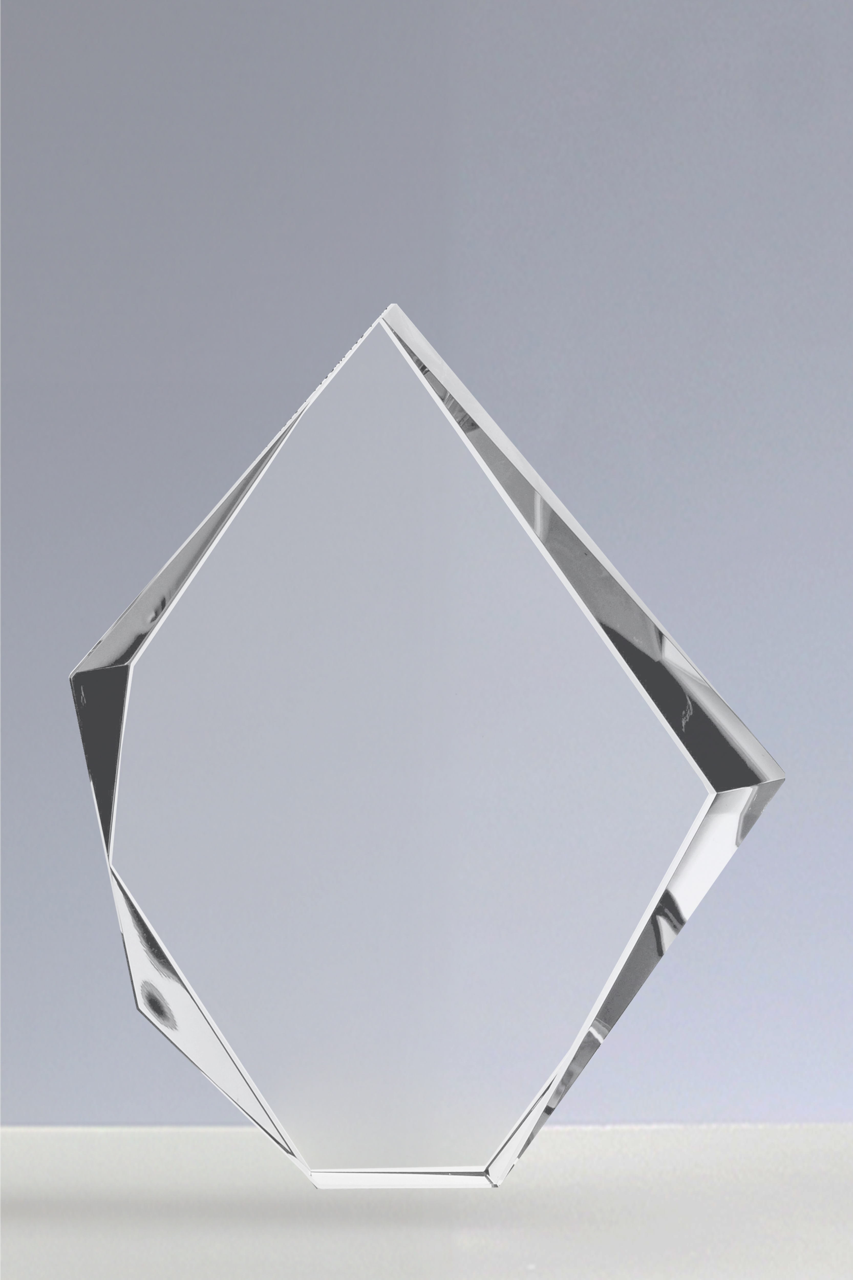 Trofee din Cristal 19